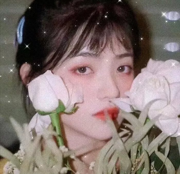 芬妮的旅程